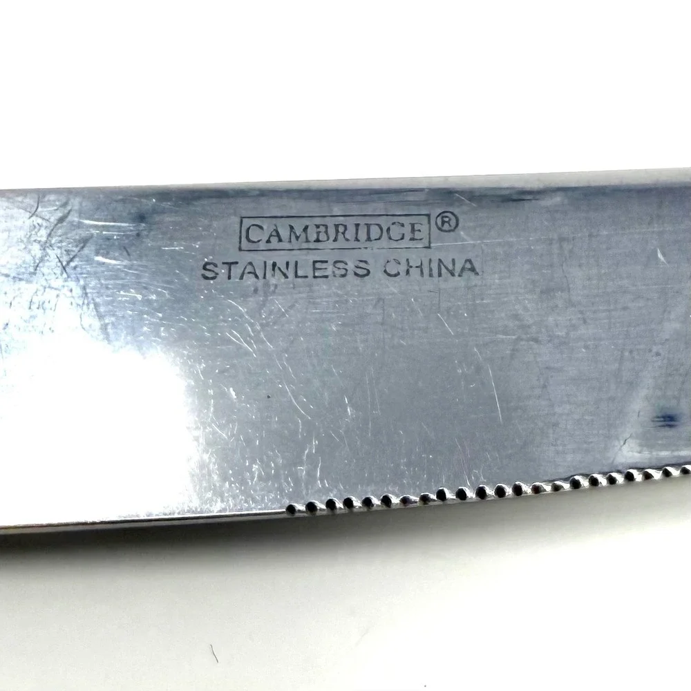 Cambridge Silversmiths Stainless Steel Carlyle Rope Edge‎ Dinner Knives Set of 4